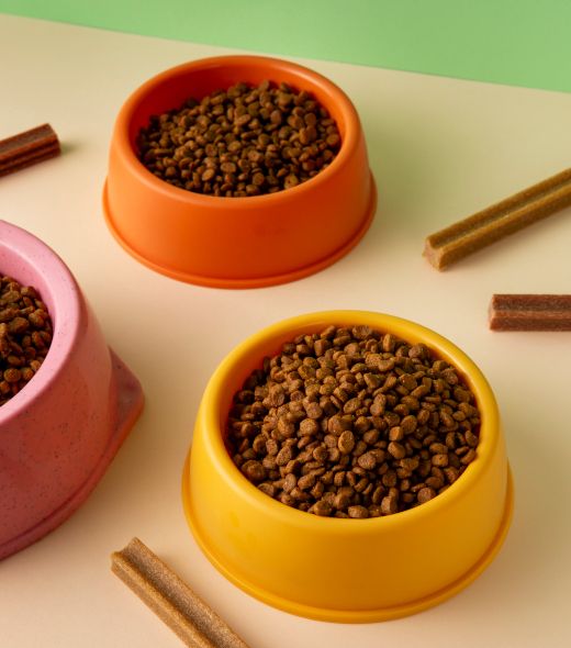 Comederos y bebederos