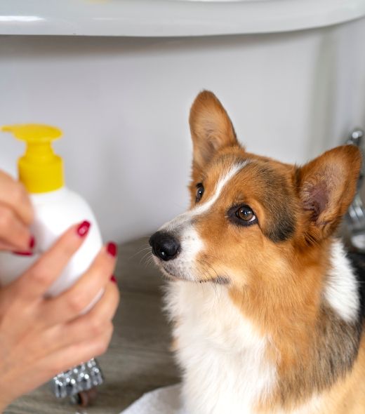 Cosmetica, salud e higiene