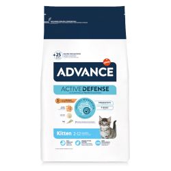 Advance Kitten