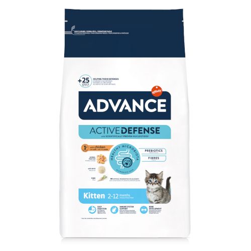Advance Kitten