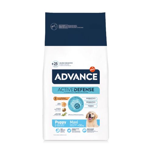Advance Maxi Puppy