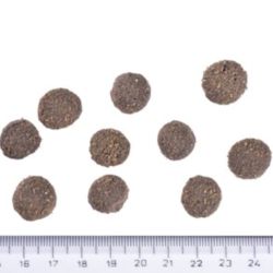 Brit Care Dog Grain-Free Adult Salmon