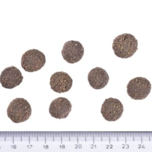 Brit Care Dog Grain-Free Adult Salmon