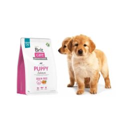 Brit Care Dog Grain Free Puppy Salmon