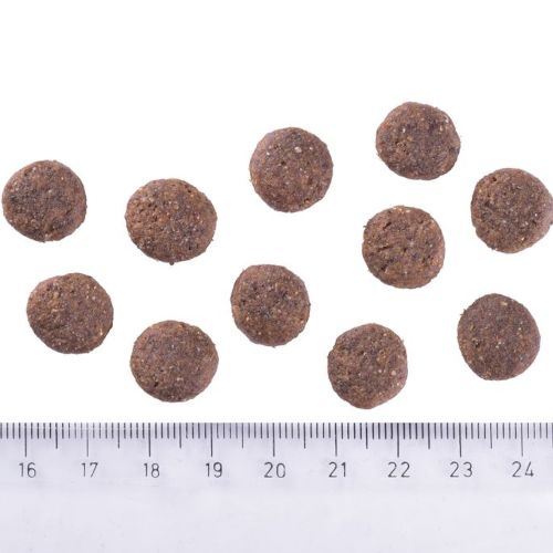 Brit Care Large Breed Chicken & Insect Sostenible