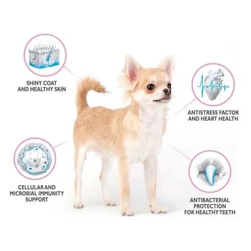 Brit Care Mini GF Light/ Sterilized Salmon/Rabbit