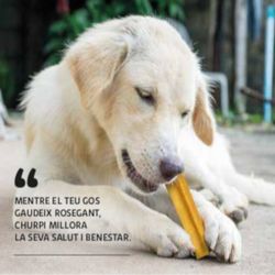 Churpi Snack Natural Nutricional Perros