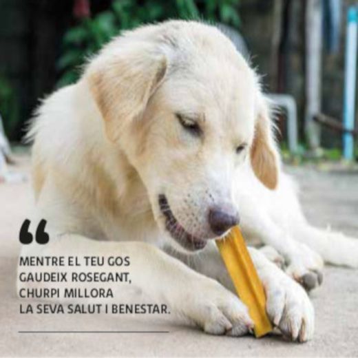 Churpi Snack Natural Nutricional Perros