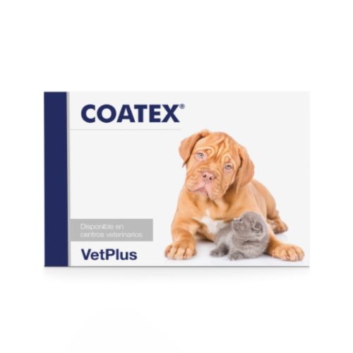Coatex 4x60 (240 Cápsulas)