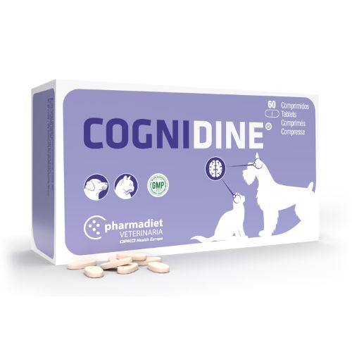 Cognidine Comprimidos