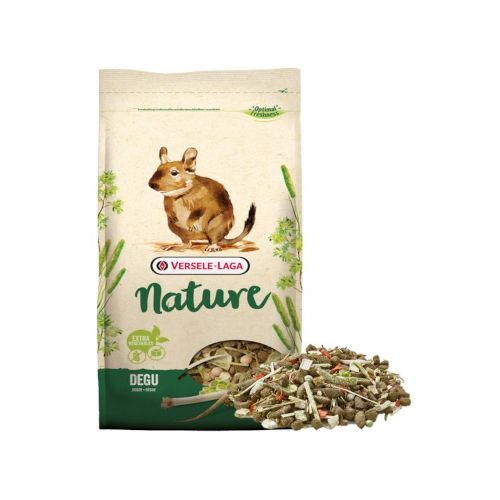 Degu Nature
