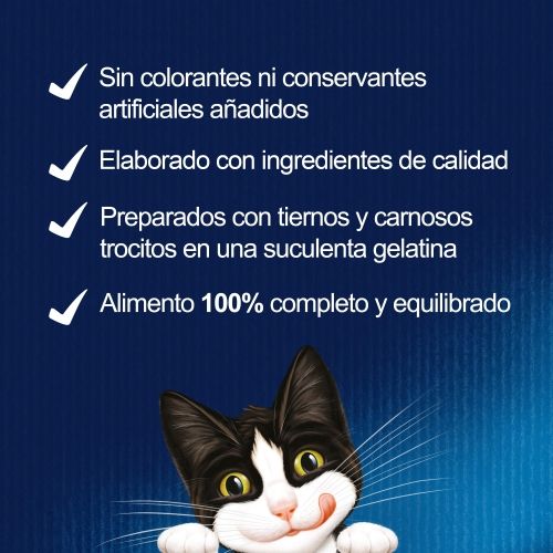 FELIX Festín Sabores Gelatina pack surtido 12x85g