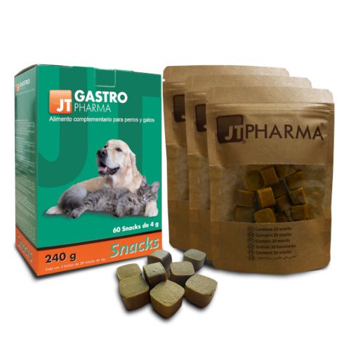 Gastro Pharma, 60 Snack x 4 Gr