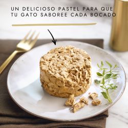Gourmet Gold Tartelette Buey y Tomate, 85 G