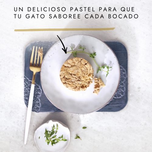 Gourmet Gold Tartelette Pollo y Zanahoria, 85 G
