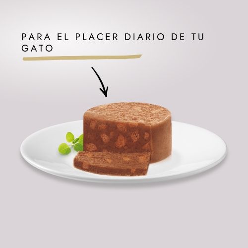 Gourmet Gold Terrine Pollo, 85 G