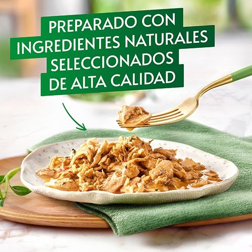 Gourmet Nature Mini Filetes rico en Buey, 85g