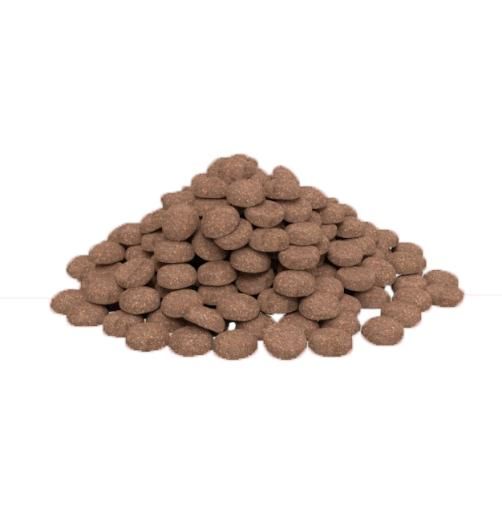 HPM Cat Weight Loss - Diabetes W1