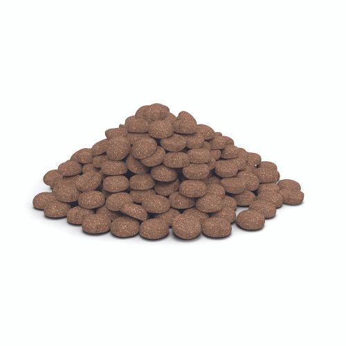 HPM Dog Gastro Digestive Support G1