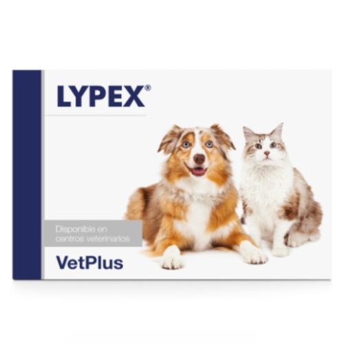 Lypex 60 Comprimidos