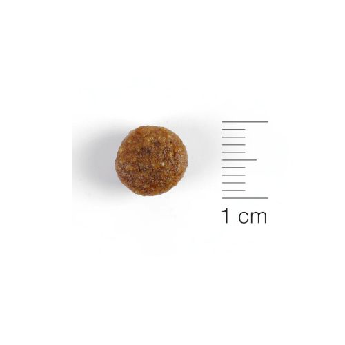 Natura Diet Dog Daily Food Mini