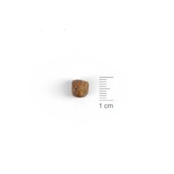 Natura Diet Dog Fish - Rice Mini