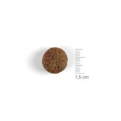 Natura Diet Dog Lamb & Rice