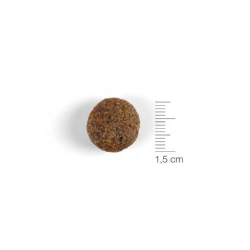 Natura Diet Dog Lamb & Rice