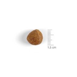 Natura Diet Dog Light -10% Calories