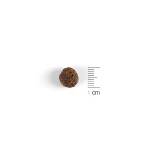 Natura Diet Lamb & Rice Mini