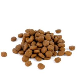 Natura Diet Puppy Junior Large Breed