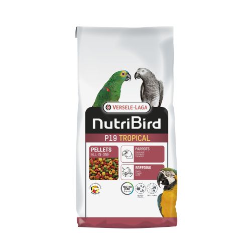 Nutri-bird P19 Tropical Loros cria, 10 Kg