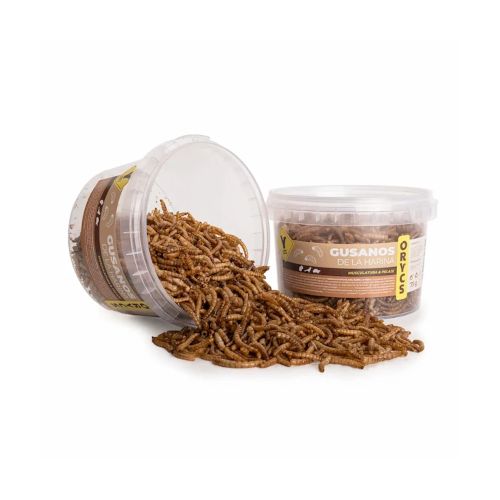 Orycs Snack Gusanos De La Harina, 75 gr