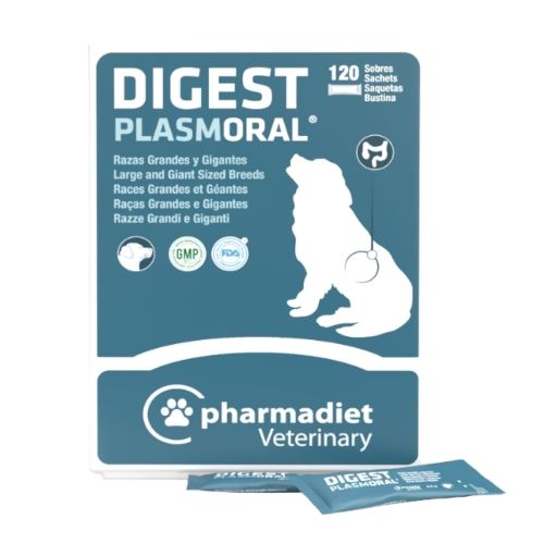 Plasmoral Digest Razas Grandes Y Gigantes