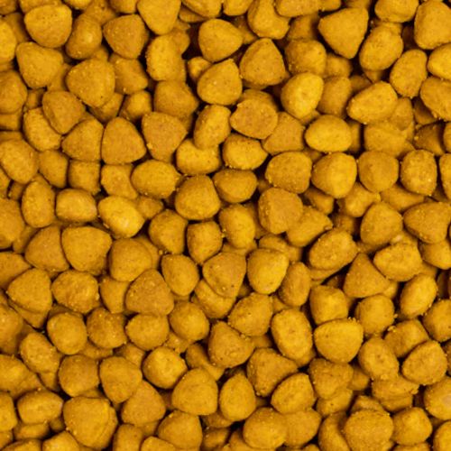 Psittacus Formula Criador Alta Energia, 12 Kg