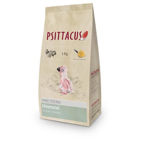 Psittacus Papilla Neonatal, 1 Kg