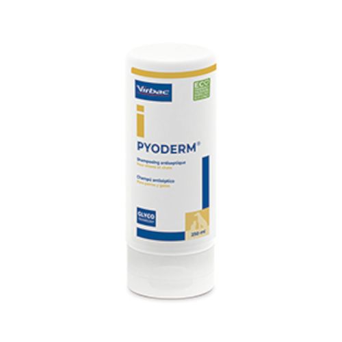 Pyoderm Champú, 250 ml