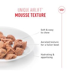 Royal Canin Appetite Control Mousse, 12 x 85 Gr