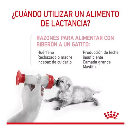 Royal Canin Babycat Milk, 300 Gr
