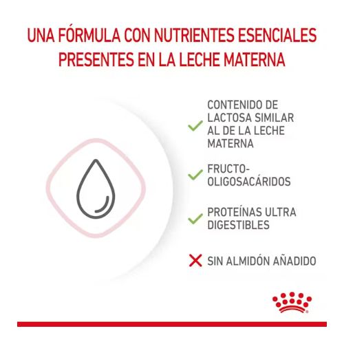 Royal Canin Babycat Milk, 300 Gr