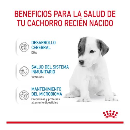 Royal Canin Babydog Milk