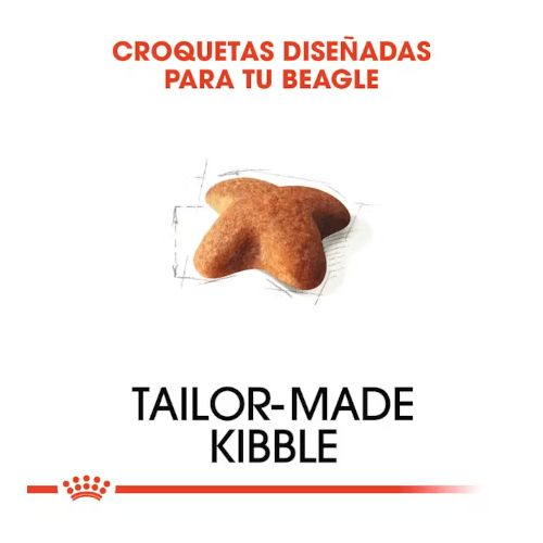 Royal Canin Beagle Adult