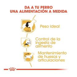 Royal Canin Beagle Adult