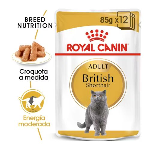 Royal Canin British Shorthair, 12 x 85 Gr