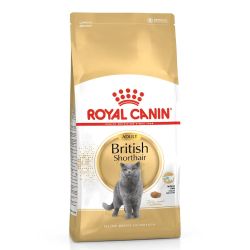 Royal Canin British Shorthair