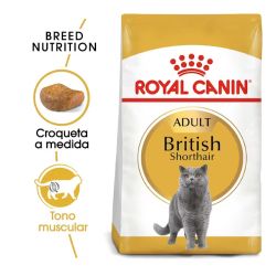 Royal Canin British Shorthair