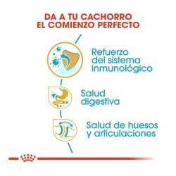 Royal Canin Bulldog Puppy, 12 Kg