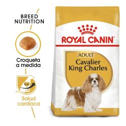 Royal Canin Cavalier King Charles, 3 Kg