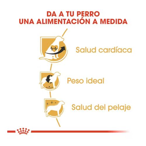 Royal Canin Cavalier King Charles, 3 Kg