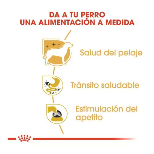 Royal Canin Chihuahua, 12 x 85 Gr